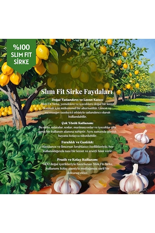 Mim and More Slim Fit Maydanoz & Limon & Sarımsak Sirkesi 250 ML