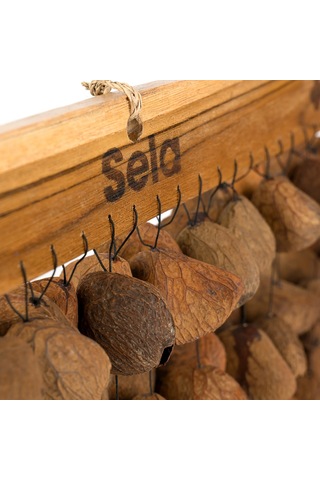Sela Seed Chime Pangi Sesdc3