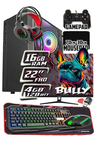 Warbox Bully X5650 16 GB 256 GB SSD 4 GB R7240 22" W10P Masaüstü Oyuncu Bilgisayarı