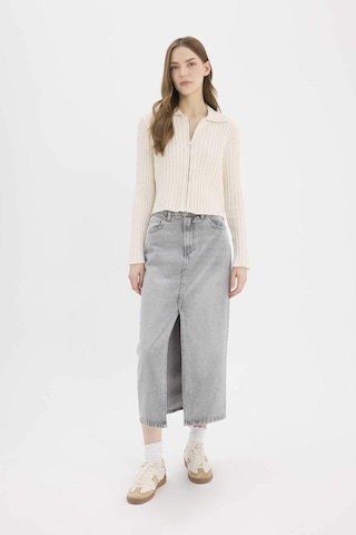 DeFacto Slim Fit Dar Kesim Polo Yaka Fermuarlı Hırka E4030AX25SPER105 Ekru