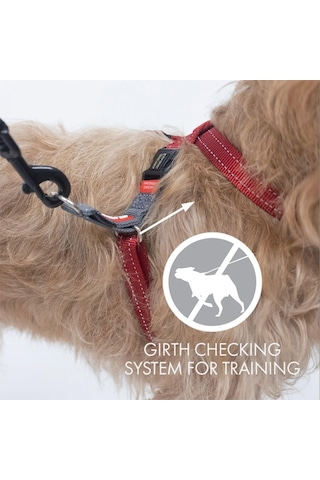 Ezydog Çekme Koşum Takımı Cross Check Koşum Takımı Eğitimi, Dolgulu, Yansıtıcı Küçük, Orta Ve Büy Genel