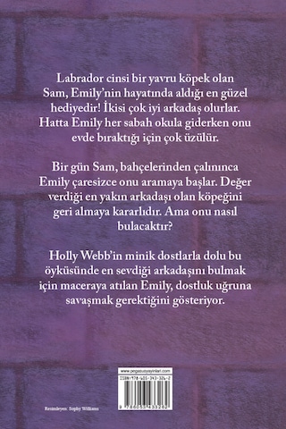 Üzgün Sam - Holly Webb - Pegasus