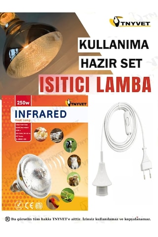 Isıtıcı Lamba Şefffaf Renk 250 Watt + E27 Seramik Duy+2m Fişli Kablo Kullanıma Hazır Set