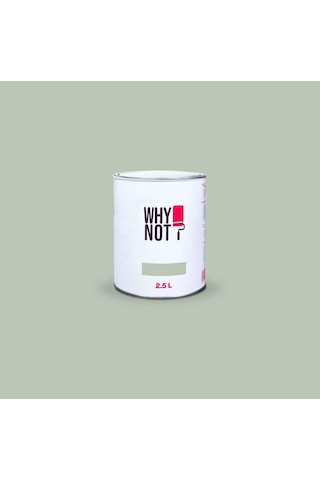Whynot Yeşil Duvar Boyası - Olive Grove 2,5litre 0.2 KG