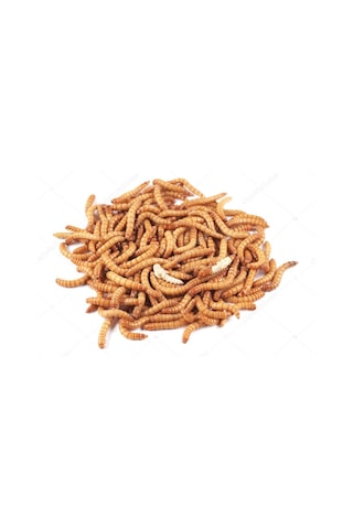 Un Kurdu 250 Gr Un Kurdu 250 Gr