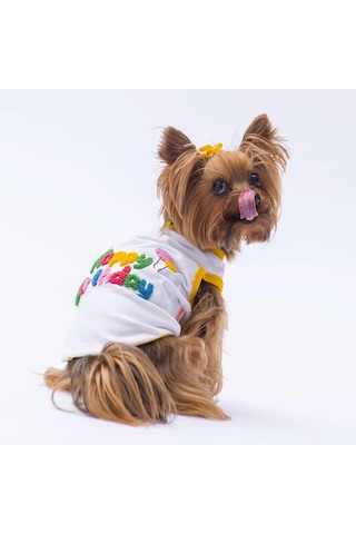 Happy Birthday Kedi Köpek Tişörtü - Kedi Köpek Kıyafeti