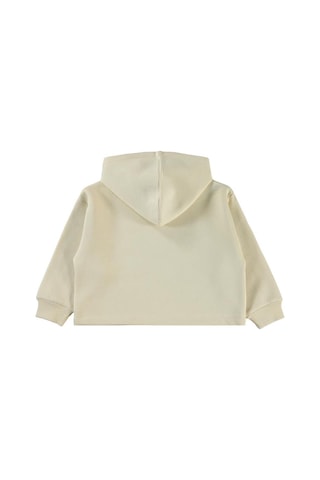 Harry Potter 6-9 Yaş Sweatshirt Çok Renkli
