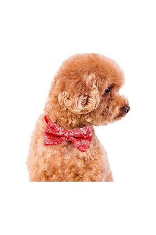 Leezsingamazon Sıcak Evcil Hayvan Kedi Köpek Tasması Aksesuarları Payet Papyon Tatil Parti Dekorasyonu Kırmızı