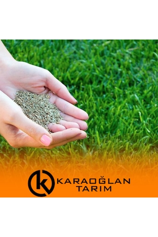 Çimlenen 7'li Karışım Basmaya Ve Soğuklara Dayanıklı Çim Tohumu