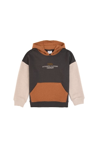 U.s. Polo Assn. Erkek Çocuk Gri Sweatshirt 50316469-vr024 Grı