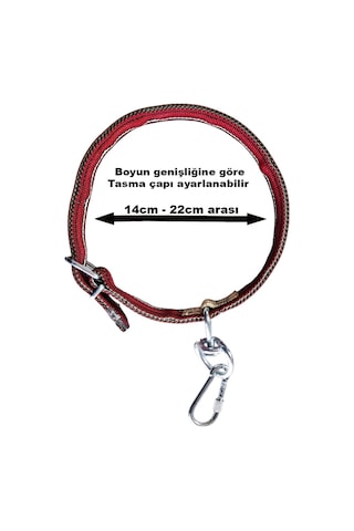 Aletçantam Çift Tokalı Köpek Boyun Tasması Büyük Irk 83 CM Kilitli Karabinalı Palaska Tasma Kırmızı