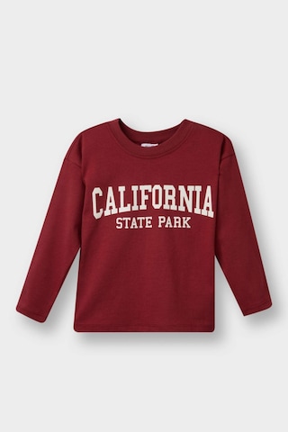 Defacto Erkek Bebek Bisiklet Yaka Baskılı 2li Uzun Kollu Tişört F3401a525auar1 Antrasit