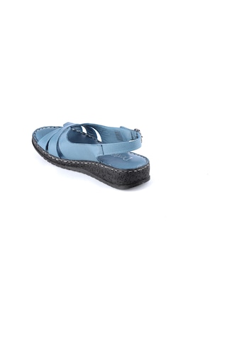 Dexter Dx390196-6 Kadın Sandalet Çok Renkli