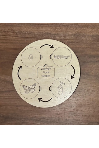Montessori Hayvanların Ve Böceklerin Yaşam Döngüsü