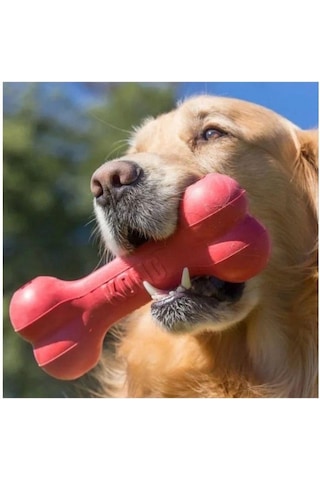 Kong Goodie Bone Kemik Şeklinde Çok Amaçlı Köpek Oyuncağı L