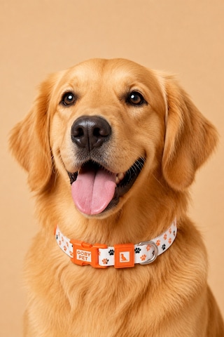 Köpekler İçin Dayanıklı Ve Güvenli, Desenli Boyun Tasması 25mm Pati