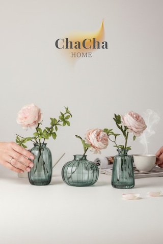 Chacha Home Modern 3'lü Minimalist Cam Çiçek Vazosu Dekoratif Masa Üstü Vazo Seti Turkuaz