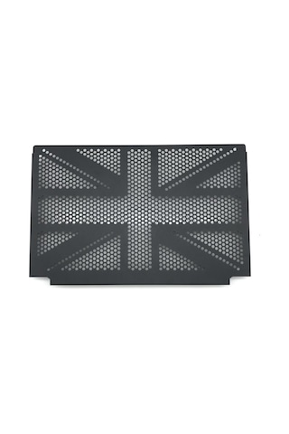 Dinosaurs Trıumph Trident 660 2021 2022 Radyatör Koruma Izgarası Kapağı Radyatör Koruma Kapağı Motosiklet Aksesuarları