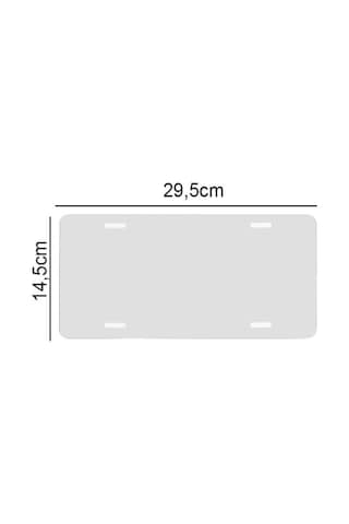 Kişiye Özel İsimli Metal Plaka - İsim Yazılı Tabela Araç Ve Ofis Dekoru 14.5x29.5 Cm
