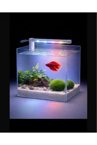 Alıon Akvaryum Aydınlatma 15 Cm Led 12 Volt Beyaz Kırmızı 2835 Şerit