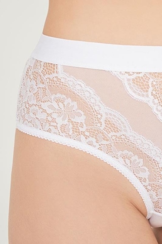 Cottonhill Dantelli Arkası Transparan Büyük Beden Bikini Külot 3'lü Paket-2 Çok Renkli 3