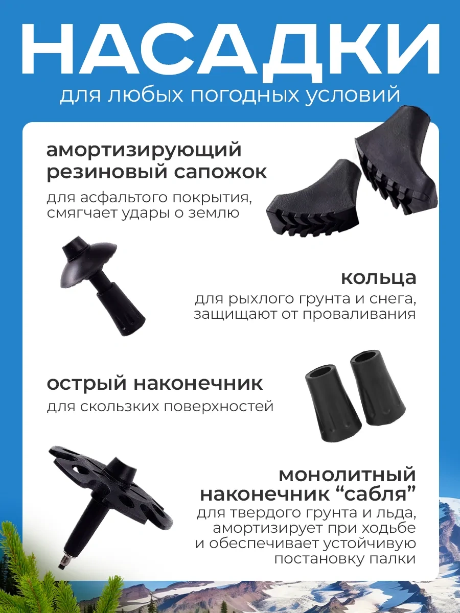 Bobby Sport Yaşlılar İçin Nordic Y Yürüyüşü Bastonları 254770450 Siyah