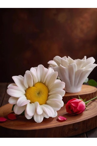 Koroleva Formy Gıda Silikondan Papatya Kalıbı 180521782 Diğer