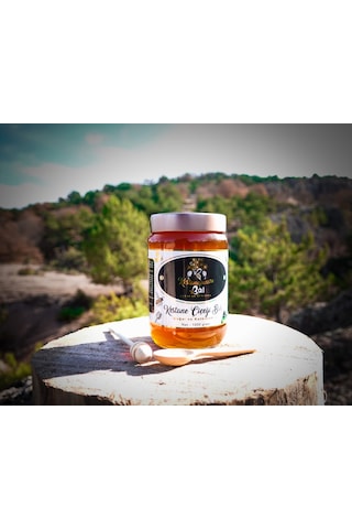 Kestanepınarı Bal Kestane Balı 1 KG