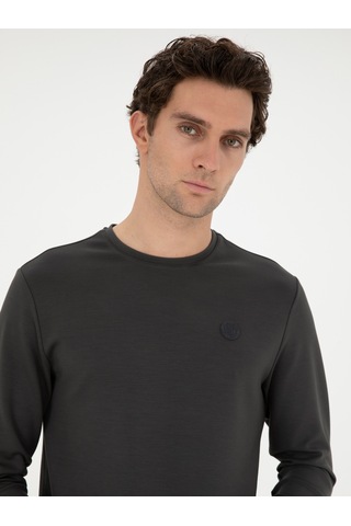 Antrasit Regular Fit Bisiklet Yaka Sweatshirt Gri