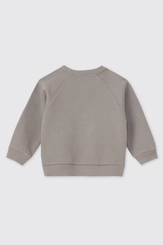 Panço Erkek Bebek Reglan Kollu Gri Takım 2621BB17003