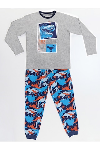 T-rex Info Erkek Çocuk T-shirt Pantolon Takım