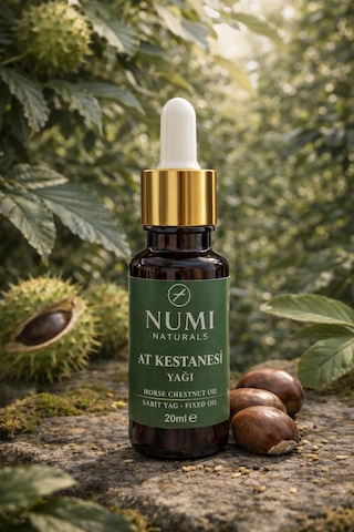 %100 Saf At Kestanesi Yağı 20 Ml Doğal Sabit Yağ Masaj Ve Cilt Bakımı İçin