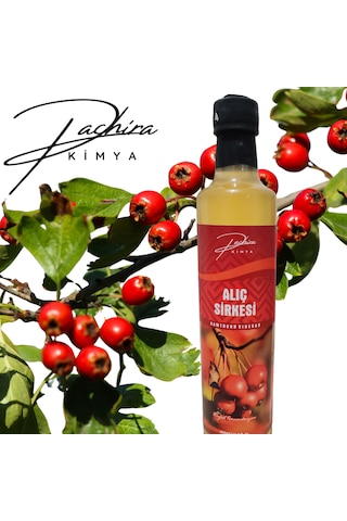 Pachira Kimya Premıum Alıç Sirkesi