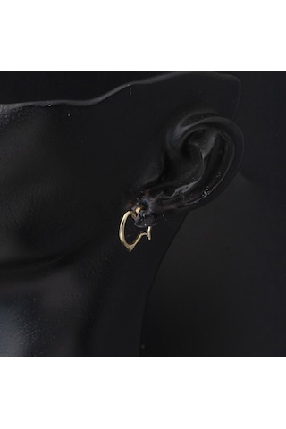 Orta Boy 14 Ayar Altın Kalp Halka Küpe Kpdls14k30255