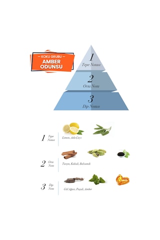 Prova Men X Odunsu Erkek Parfüm EDP 100 ML