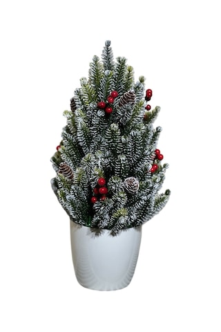 Yapay Çiçekçiniz Kozalak Ve Kokina Detaylı Yılbaşı Çam Ağacı 35 Cm