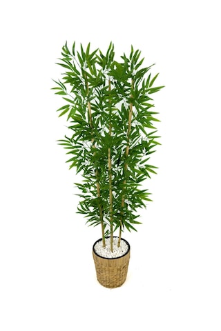 Biçiçek Yapay Bambu Ağacı 140cm Su Sümbülü Hasır Saksıda