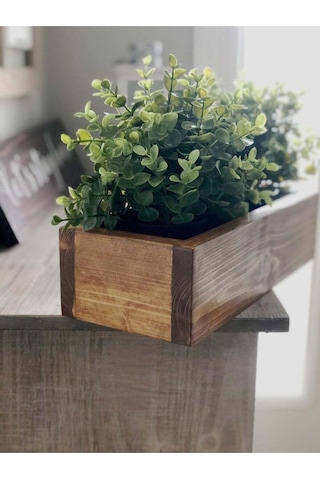 Bfdshop Ahşap Saksı Sukulent Kaktüs - Organizer Çok Amaçlı Kutu