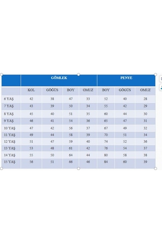 Pina Kids Erkek Çocuk Çıtçıtlı Gömlek Tişört Üst Takım Füme