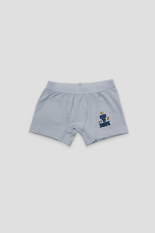 Defne Baby Erkek Çocuk Desenli Premium Pamuklu 2'li Boxer Seti Çok Renkli