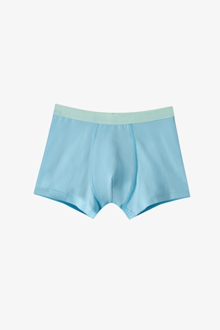Penti Mavi Erkek Çocuk Fishy Friends 3lü Boxer