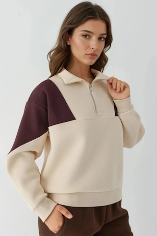 Hiccup Fermuarlı Dik Yaka İçi Şardonlu Sweatshirt Krem Doğal