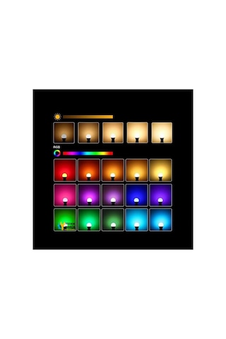 Winnboss Uzaktan Kumandalı 6500k 9w Rgb Led Ampul Beyaz Işık, Standart, Yk-270013, Çok Renkli, Kadın Diğer