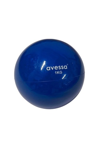 Premium Ptb-20 Plates Toning Ball 1 Kg Mavi Form Bireysel Salon