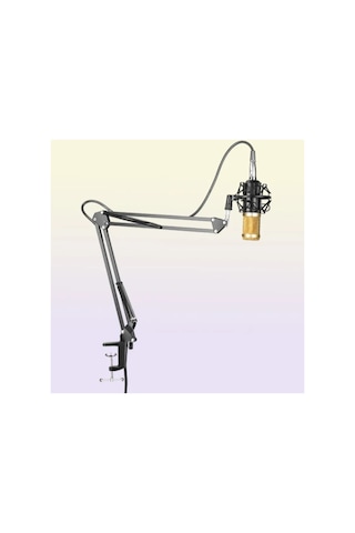 Metal Akrobat Mikrofon Standı Shock Mount Titreşim Önleyici Yayıncı Sehpa Çift Kollu Stand