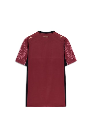 Galatasaray Puma 2025/2026 Alternatif Forma 77981303