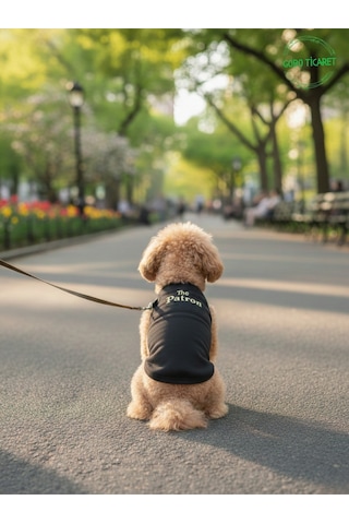 Siyah The Patron Yazılı Kedi Ve Köpek Kıyafeti Tişörtü Elbisesi Small/s/beden 1