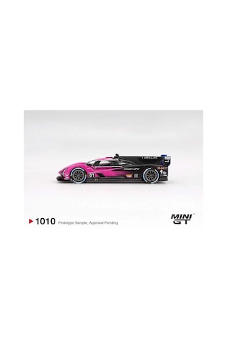 Mini Gt 1/64 Cadillac V-series.r Cadillac Racing 2024 Imsa Petit Le Mans Çok Renkli
