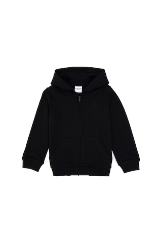 U.S. Polo Assn. Erkek Çocuk Siyah Basic Kapüşonlu Sweatshirt 50308439-VR046