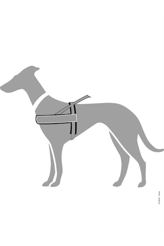 Hunter Racing Norveç Tipi Köpek Göğüs Tasması M-l 62 75 Cm Petrol/siyah Petrol Mavisi